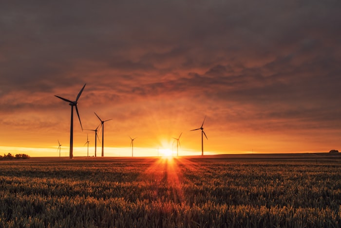 Aerogeneradores de una empresa de energía y utilities